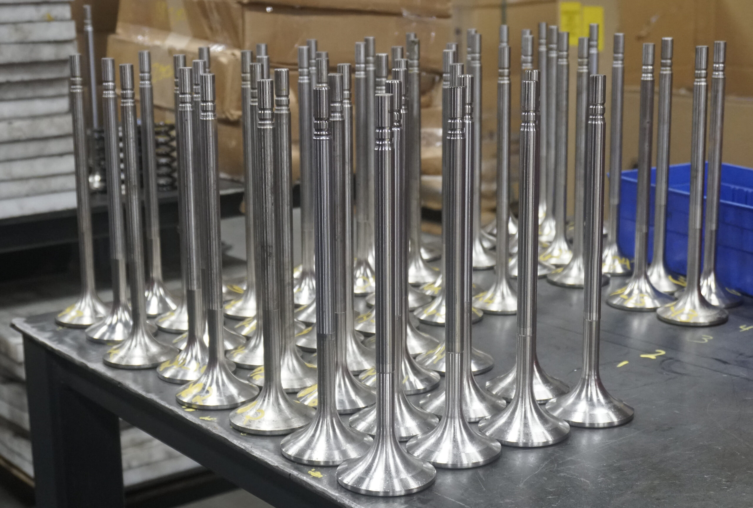 Endurance Valves